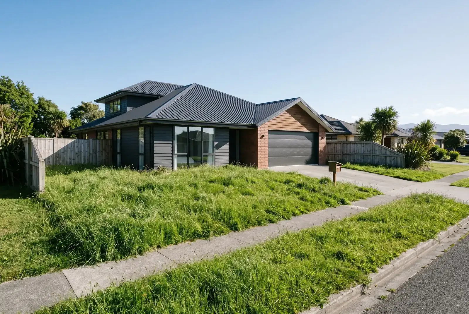 Overgrown, long shaggy front lawn and berm in front of a modern home